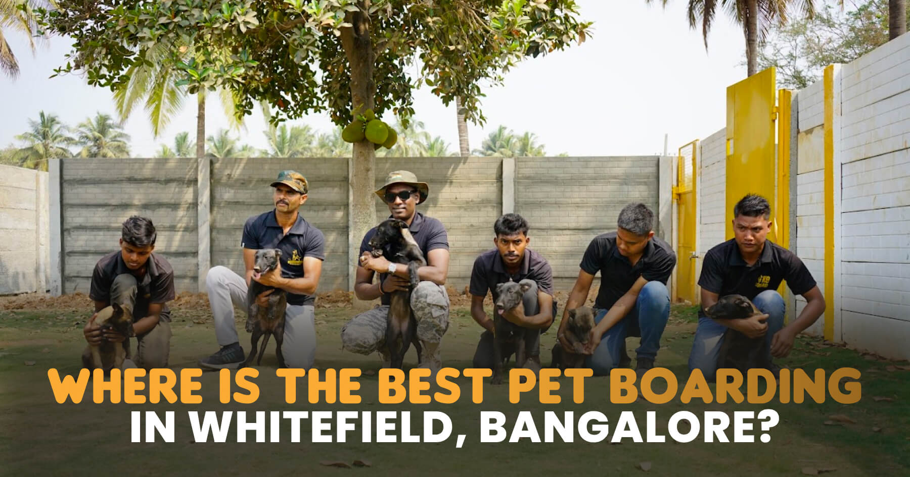 Best Dog boarding in Bangalore