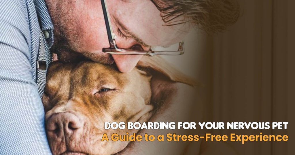 Dog Boarding for Your Nervous Pet