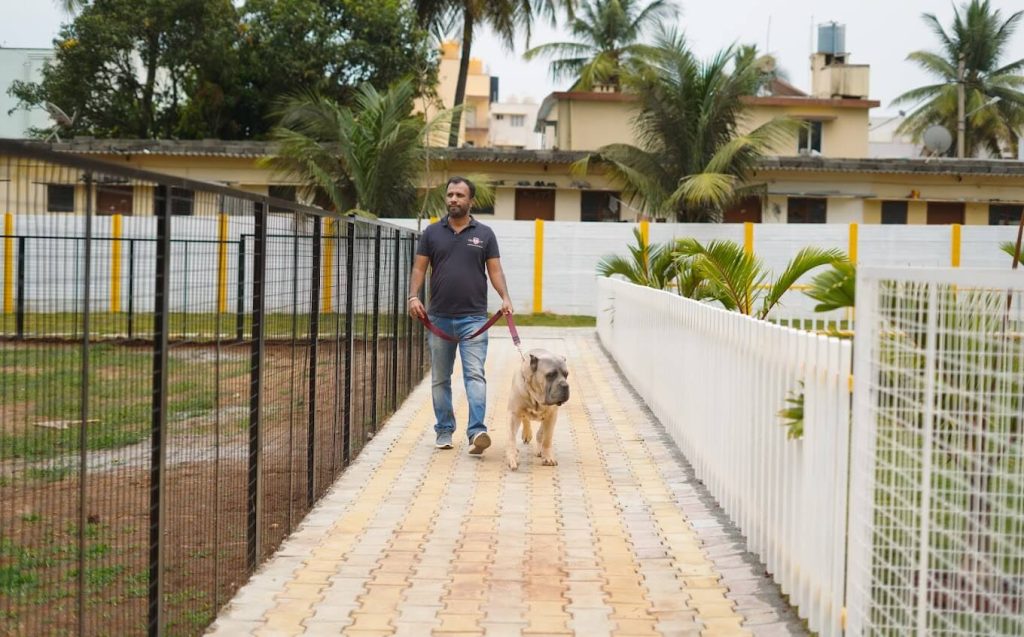 Best Pet Boarding in Whitefield Bangalore