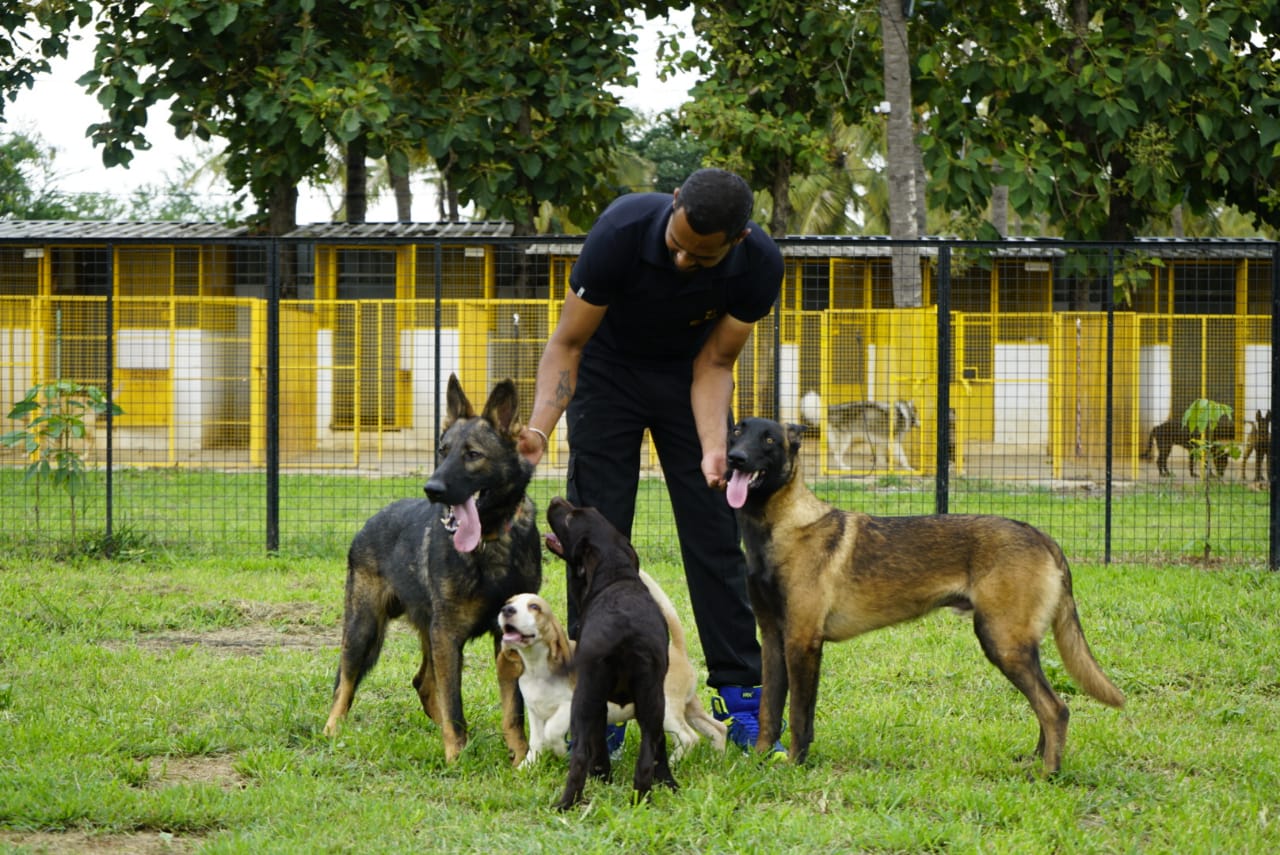 Pet Boarding Services in Varthur, Bangalore