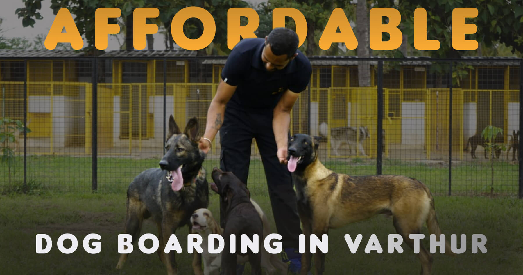 Best Dog boarding in Bangalore