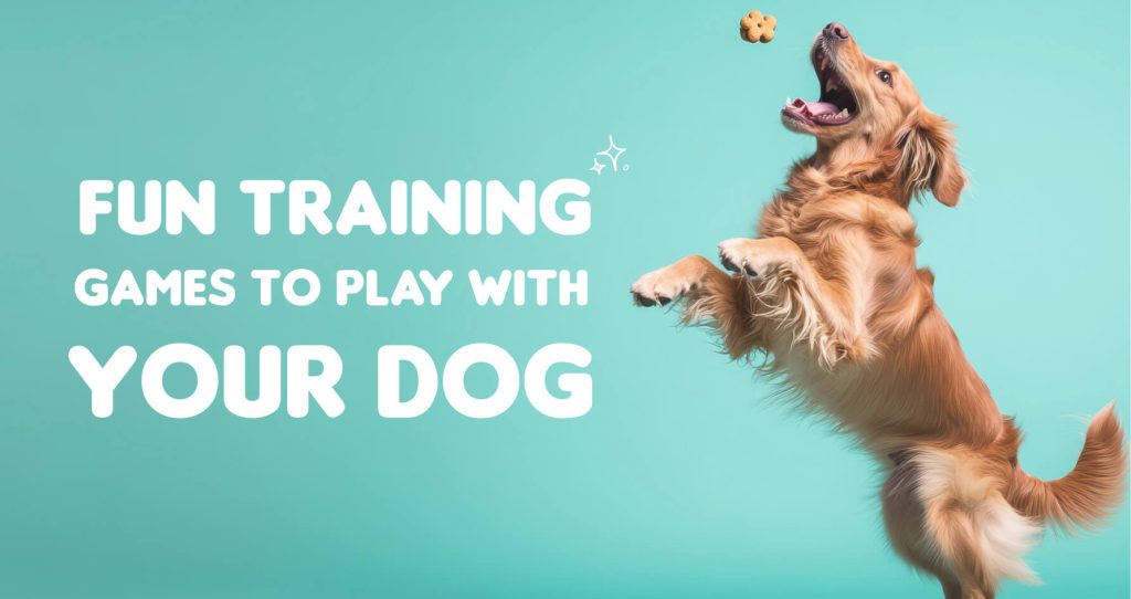 Best Pet Boarding in Whitefield Bangalore