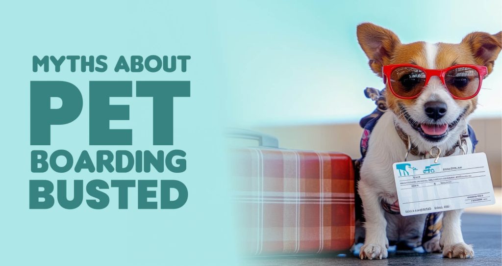 Dog Training & Boarding Services in Whitefield