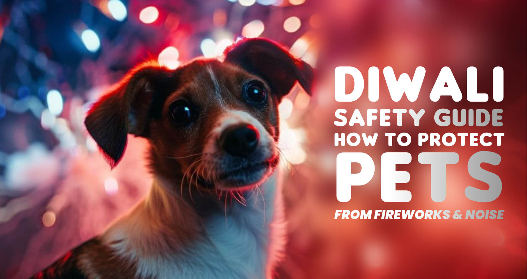 Diwali Safety Guide: How to Protect Your Pets from Fireworks and Noise