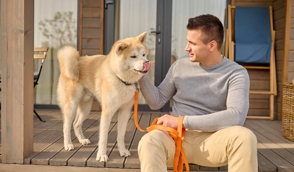 Behavior Changes After Boarding: What to Expect & How to Help