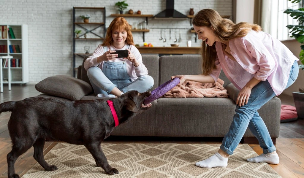 best-dog-boarding-in-bangalore