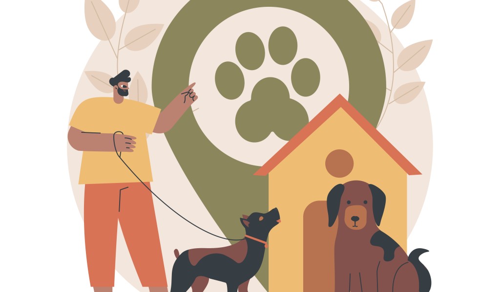 How to Board Your Dog During Summer Holidays in Bangalore